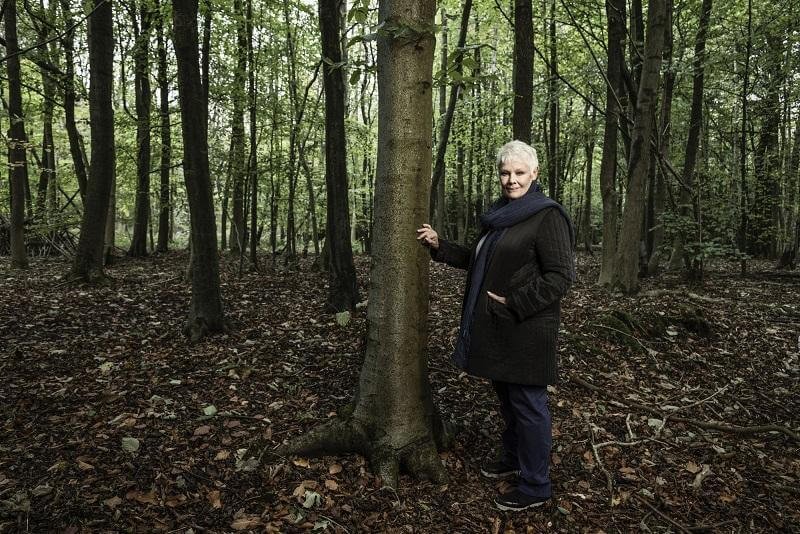 Judi Dench: My Passion for Trees Documentary - Dame Judi Dench standing beside a tree in a woodland, reflecting her long-standing support for protecting trees - backs campaign to defend London's green belt and green spaces in London